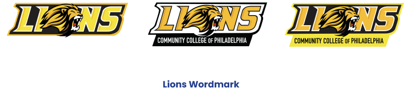 Lions Wordmark