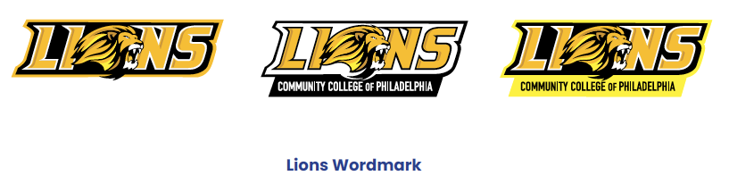 Lions Wordmark