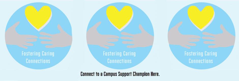 Fostering Care Connections