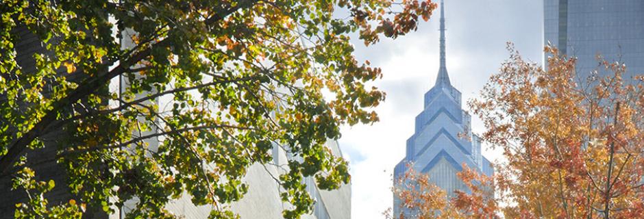 Liberty place through fall trees