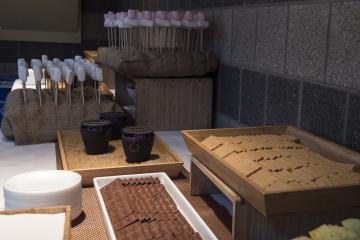 Refreshments, including s'mores, served at the Fireside Chat.